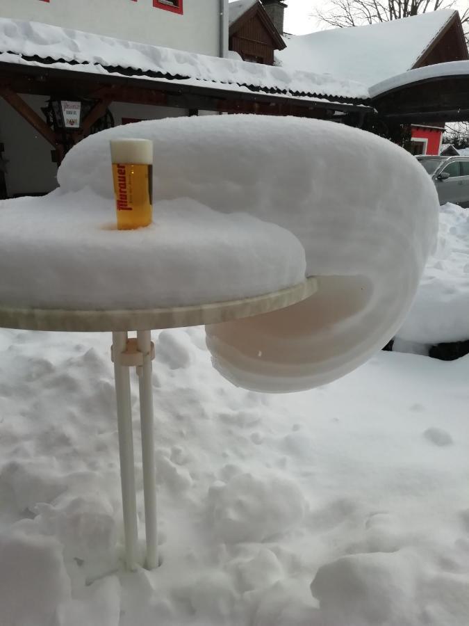 Hotel Aloisia, Hotel Garni Mariapfarr Bagian luar foto